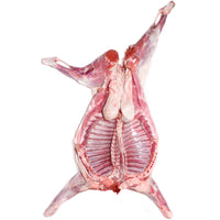 CABRITO 6 A 8 KGS
