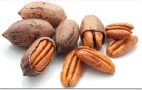 ESPECIES NUEZ CASACARA DE PAPEL